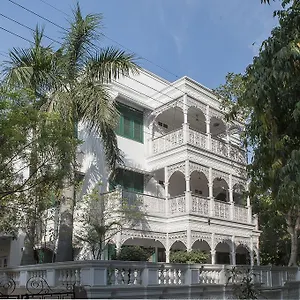 33 Nuova Delhi